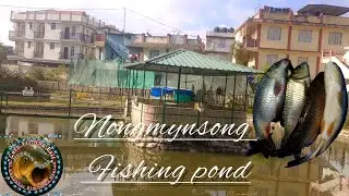 Poi Khwai Ha Shillong Nongmynsong// Fishing pond.Shu lait ka Brut 🎣 dang khriat palat ka um