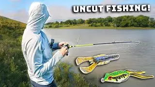 Texas Rig Vs. Frog For Summer Bass Fishing! (Uncut Pond Fishing Tips)