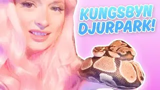 TRÄFFAR DJUREN PÅ KUNGSBYN DJURPARK I VÄSTERÅS!