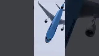 The Last Moments Of Korean Airline Flight 6316 #koreanair #internationalairline #airline