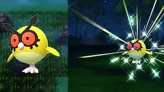 [Safari Week 2022] Live Shiny Hoothoot After 1176 REs - Win Or Fail - Pok&eacute;mon Shining Pearl