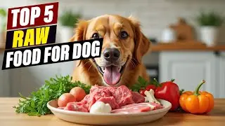 Best Raw Dog Food Brands: A Comprehensive Review