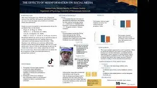 The Effects of Misinformation on Social Media