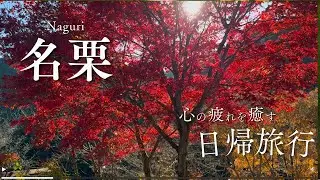 【おぺろんチャンネル】救世大観音と竹寺にドライブ！