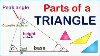 Here is how to easily identify the parts of a triangle ( Identifying the Peak and Base angles)