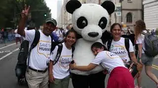 WWF's Manifesto