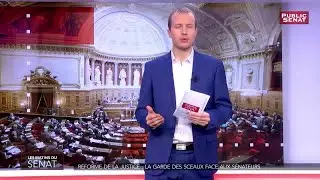 R&eacute;forme de la justice : la garde des sceaux face aux s&eacute;nateurs - Les matins du S&eacute;nat (31/01/2019)