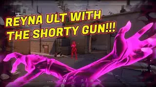 SHORTY.EXE | Valorant Funny Moments