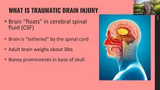 Brain Injury Basics