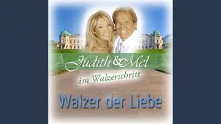 Das Beste vom Besten