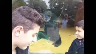 Onur vs King Curtis