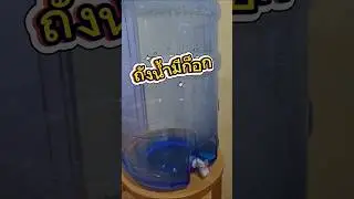 Water tank with tap