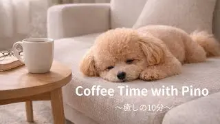 【作業用BGM】コーヒーとピノ☕10分｜カフェ気分で集中・リラックス