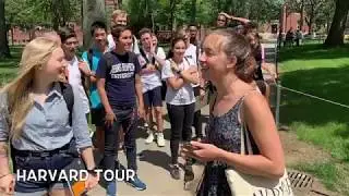 Cogito World education SAT summer prep