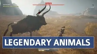 Assassin's Creed Odyssey &mdash; Дочери Артемиды: местонахождение и прохождение (легендарные животные)