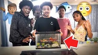 WHATS IN THE AQUARIUM(‼️GONE WRONG‼️)