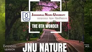 Beauty of JNU Campus, New Delhi | A Visual Journey through Nature's Haven [Extended Version]