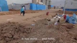 Emergency Lessons: Walking to school | Iraq
