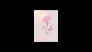 S - Cruel Carnation
