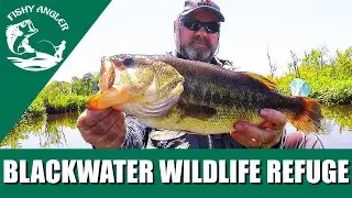 First Blackwater Snakehead Fishing Trip in 2021. FAIL.