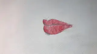 Learn the art of drawing beautiful red lips using a ballpoint pen.