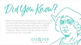 1503 - Did You Know?