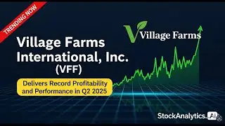 VFF: Sustainable Profit or Just a Lucky Quarter?
