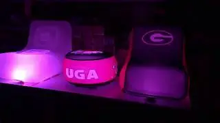 Express-Impress.com LED UGA Licensed Inflatables