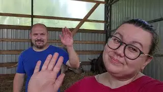 Lost Souls. Latest news from our farm.