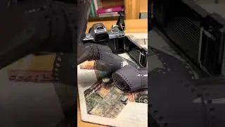 Canon 300V Film Fail 😩 | Lomography Earl Grey 35mm Gone Wrong #filmphotography