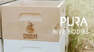 Pura Hive Bodies | Premier Bee Products