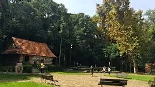 Visita ao Bosque Jo&atilde;o Paulo II ou Bosque do Papa de Curitiba