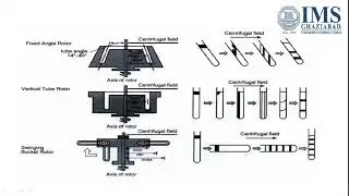 centrifuge rotors