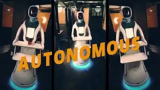 Amy Waitress Robot