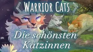 Warrior Cats • Die schönsten Kätzinnen