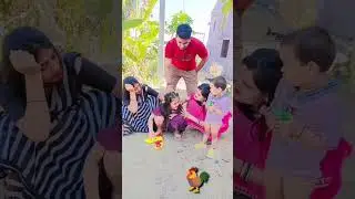 trending comedy #odia #misty #reels #sai #swati #dipsy #comedy