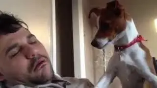 Dono ronca e assusta seu cachorro. - Cute dog scared by loud snoring