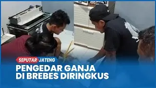 Detik-Detik Pengedar Ganja di Brebes Diringkus saat Sedang Tidur Pulas