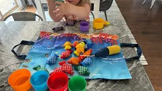 Montessori fishing toy
