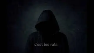 TILT - C'est les rats