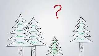 El sílabo de la Asignatura