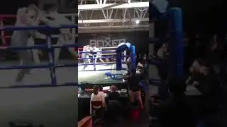 CRUZER THE BRUZER FIGHT 3.