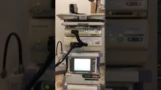 Olympus Gastroscope Demonstration 01/2020