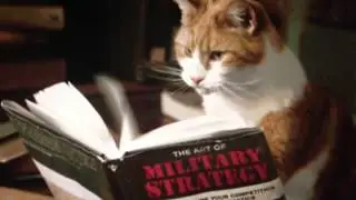 Cat reading Military Strategy