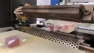 ArtyPac 75H packaging machine