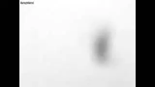 AS1 - FROM THE ABOVE [TRANSIENT FORCE 2007] ORIGINAL VIDEO