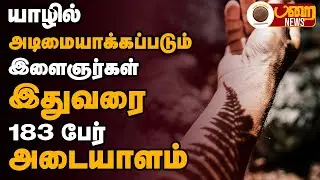 யாழில் அடிமையாக்கப்படும் இளைஞர்கள் | Jaffna  | Jaffna News | Parai News