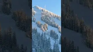 Mt Rose