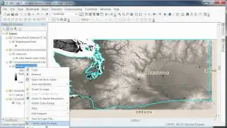 ArcGIS 10 - ArcMap - ArcToolbox - Raster Image Clip