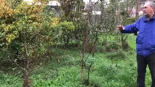 IMG 0330